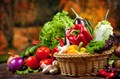 Семена овощных культур