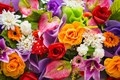 Семена цветов