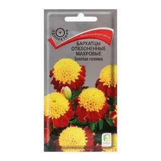 Семена цветов Бархатцы Золотая Головка отклоненные 0,4г (ПОИСК) Е12