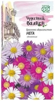 Семена цветов Брахикома Иберисолистная Нега 0,02г Г Е130