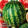 Семена Арбуз Фотон 1 г (б/п) Г Г98