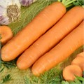 Семена Морковь Витаминная 6 2 г (б/п с евроотв.) Г Г114