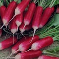 Семена Редис 18 дней 3г (б/п с евроотв.) Г Г128