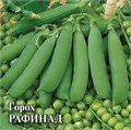Семена Горох Рафинад сахарн. 10 г б/п Г Г284
