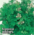 Семена Кориандр Янтарь 1 г (б/п с евроотв.) Г Г108
