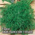 Семена Укроп Обильнолистный 2 г (б/п с евроотв.) Г Г269