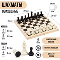 Игра настольная Шахматы 29 х 29 см фигуры пластик 2879453 2879453