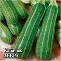 Семена Кабачок Зебра 1,5 г б/п с евроотв. Г Г219