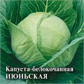 Семена Капуста белокоч Июньская 0,05 г ранняя б/п Уд. с. Г А416