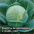 Семена Капуста белокоч Слава 1305 0,05 г для квашения б/п Уд. с. Г А418
