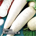 Семена Дайкон Миноваси 1г Г Е135