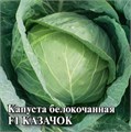 Семена Капуста белокоч Казачок F1 0,3 г ранняя Г Е35