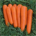 Семена Морковь Детская сладость 2 г (б/п с евроотв.) Г Е49